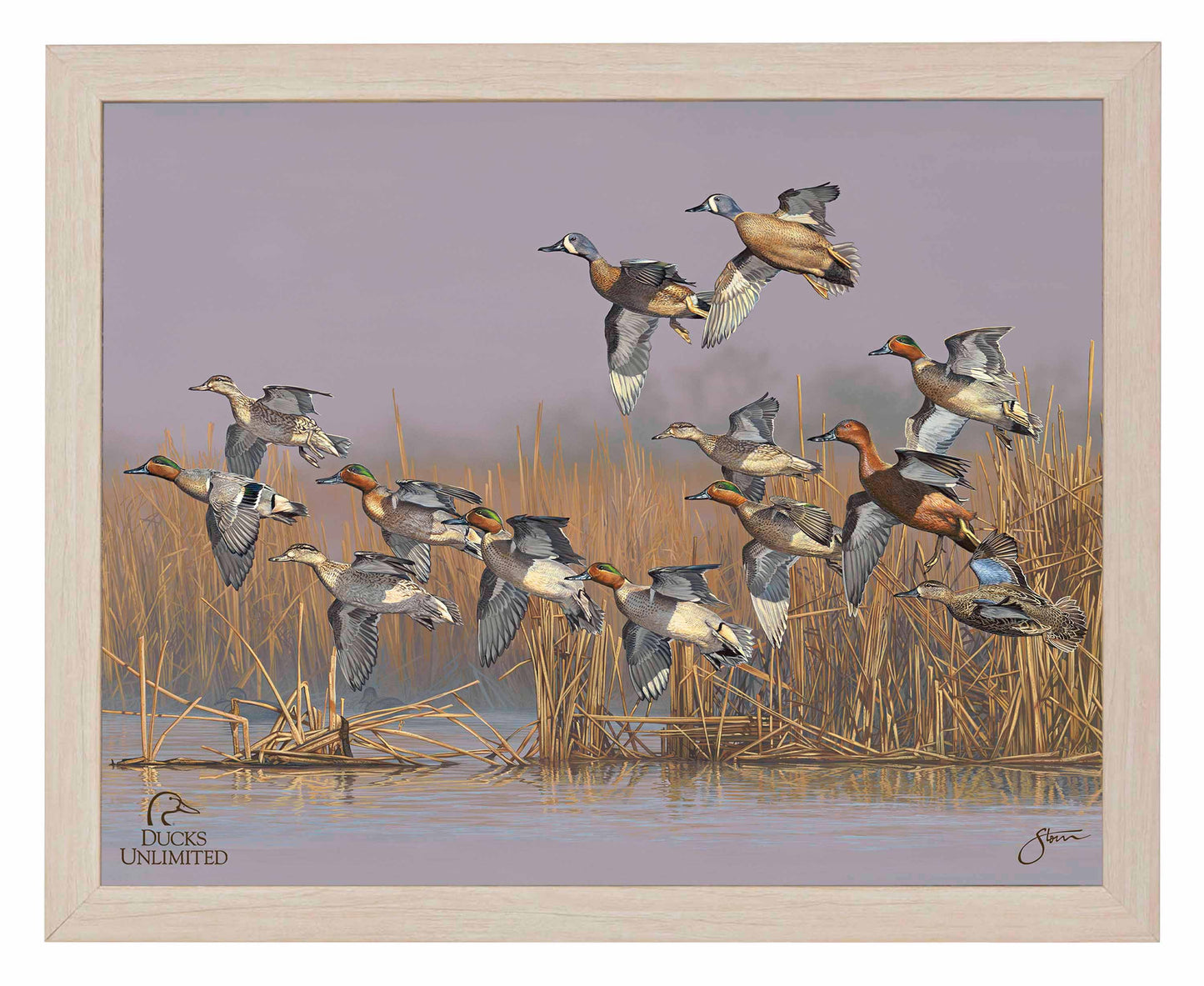 Teal Time  Art Prints - Official Ducks Unlimited Art