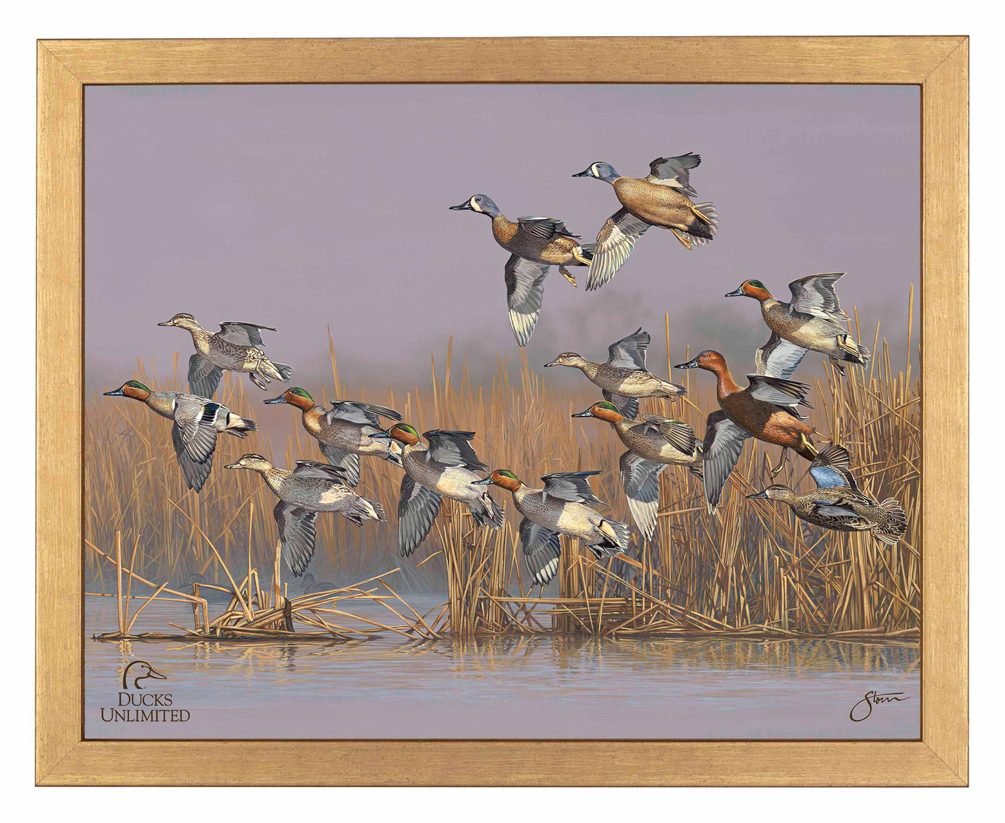 Teal Time  Art Prints - Official Ducks Unlimited Art
