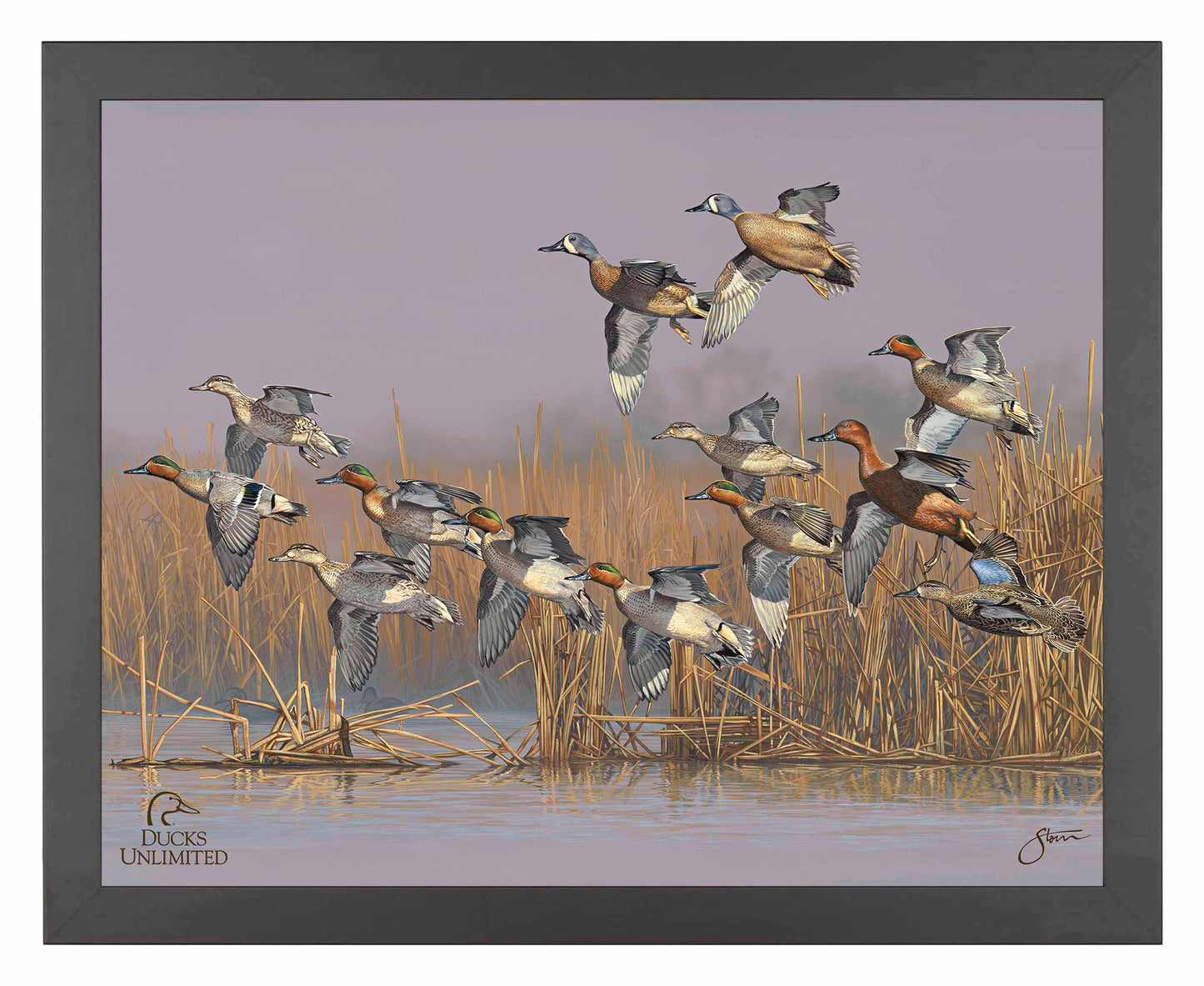 Teal Time  Art Prints - Official Ducks Unlimited Art