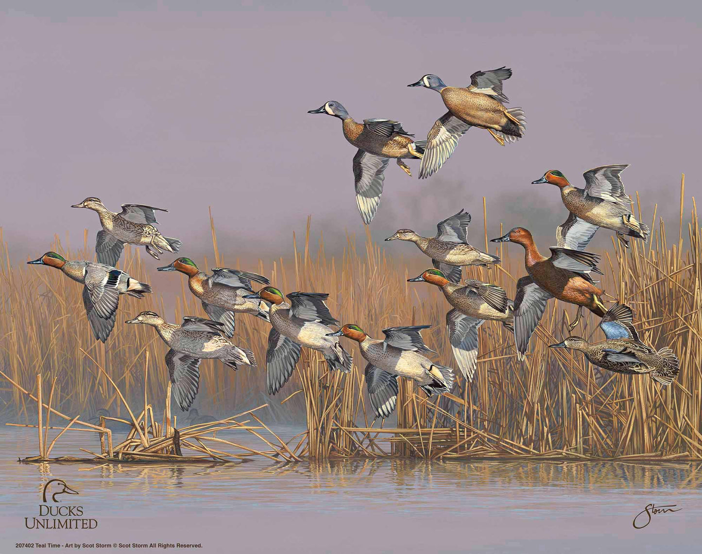Teal Time  Art Prints - Official Ducks Unlimited Art