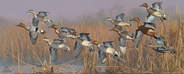 Teal Time  12" x 30" Wood Sign - Official Ducks Unlimited Art