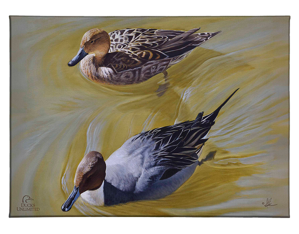 The Color of Yellow - Gallery Wrapped Canvas - Official Ducks Unlimited ...