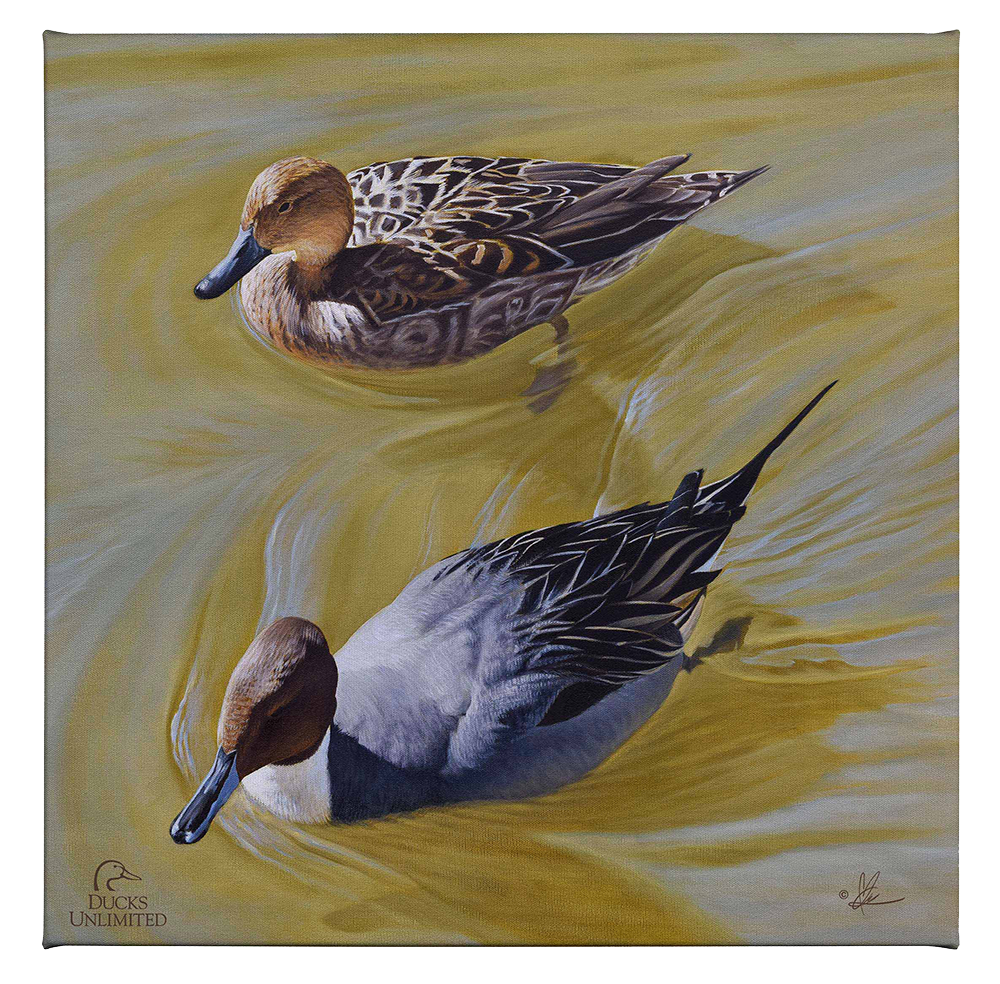 The Color of Yellow - Gallery Wrapped Canvas - Official Ducks Unlimited ...