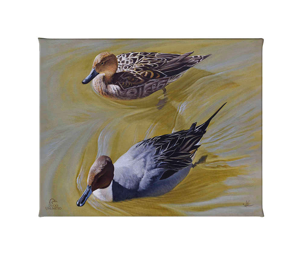 The Color of Yellow - Gallery Wrapped Canvas - Official Ducks Unlimited ...