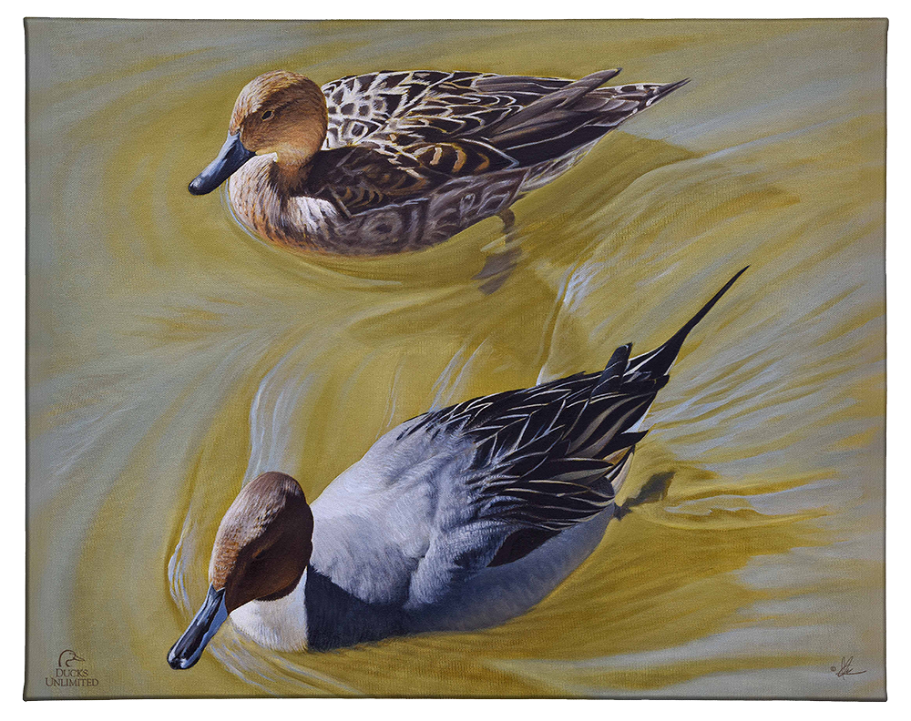 The Color of Yellow - Gallery Wrapped Canvas - Official Ducks Unlimited Art