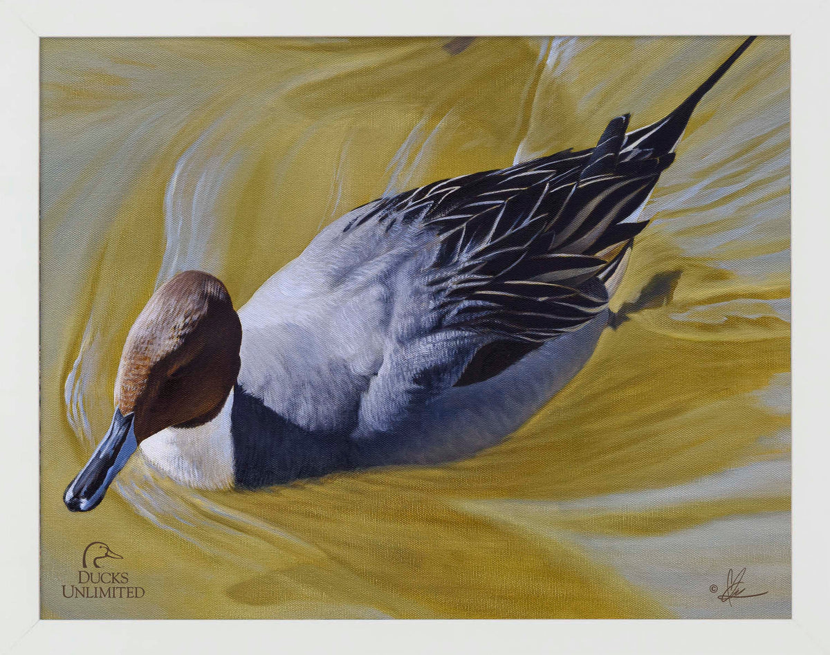 The Color of Yellow - Art Prints - Official Ducks Unlimited Art