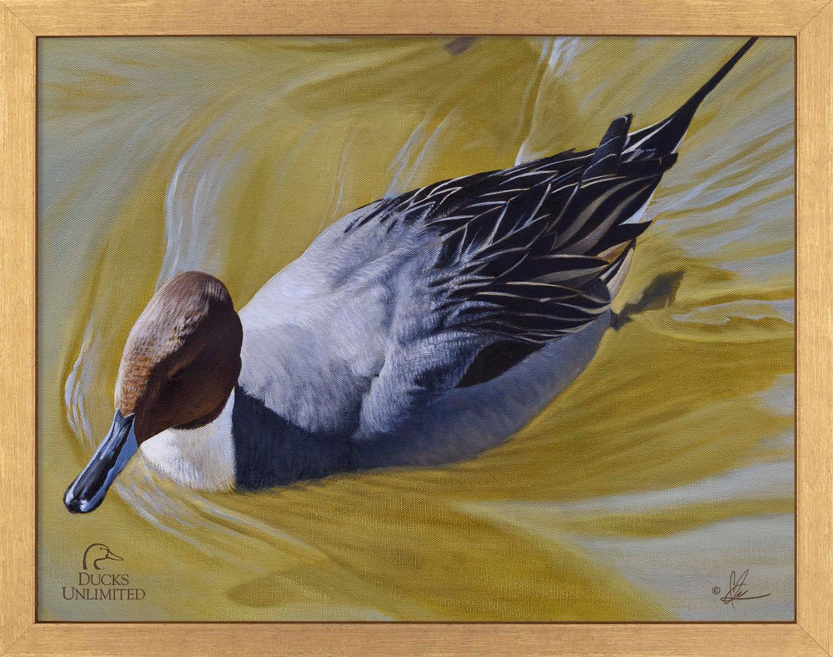 The Color of Yellow - Art Prints - Official Ducks Unlimited Art