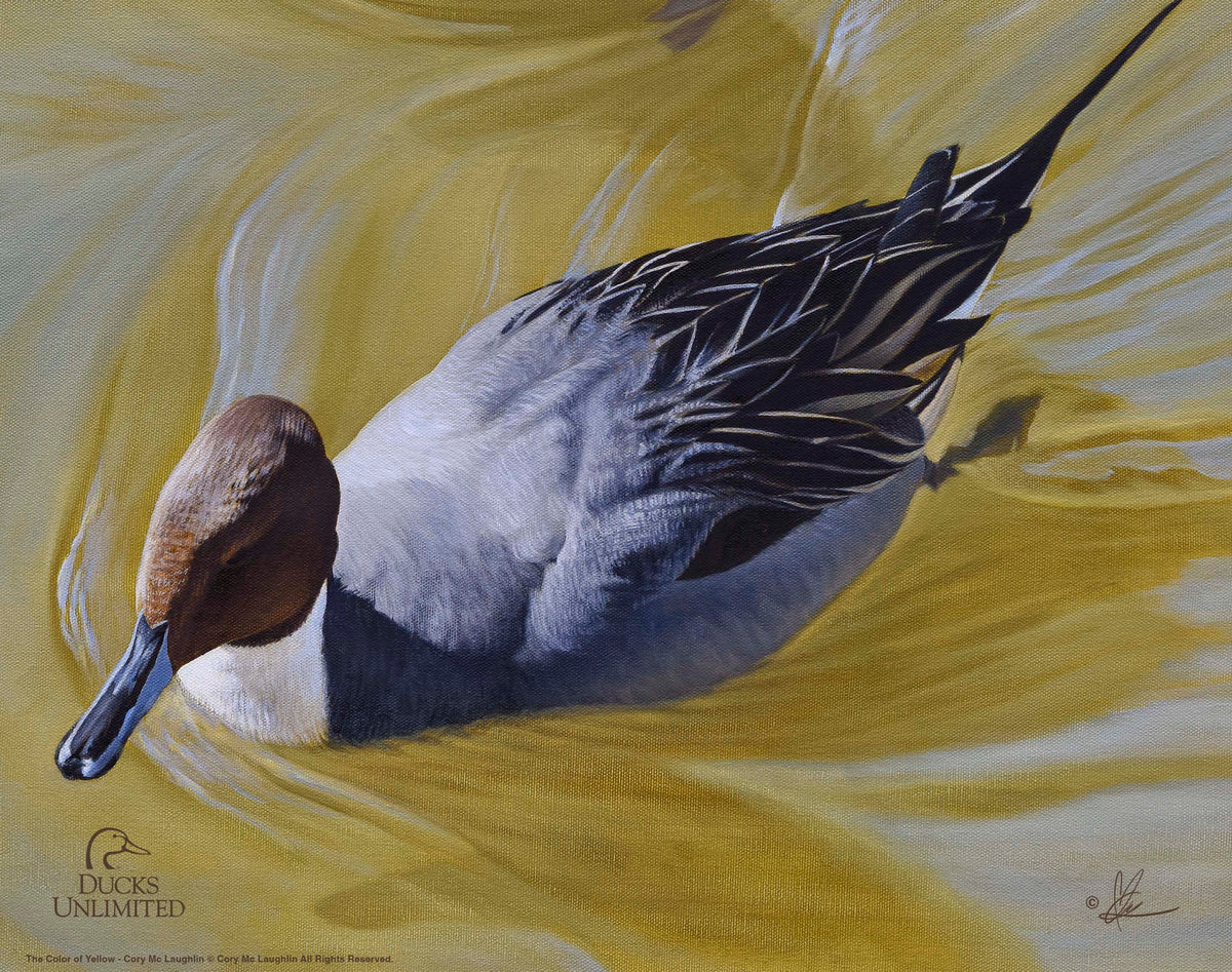 The Color of Yellow - Art Prints - Official Ducks Unlimited Art