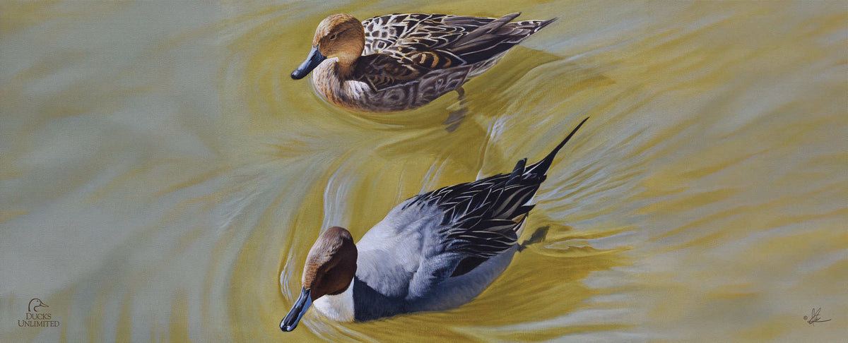 The Color of Yellow - 12" x 30" Wood Sign - Official Ducks Unlimited Art