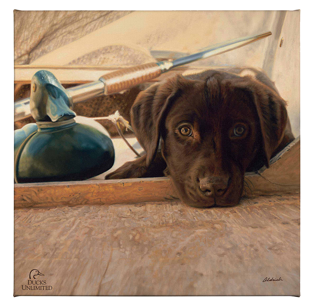Three Hour Cruise - Gallery Wrapped Canvas - Official Ducks Unlimited Art