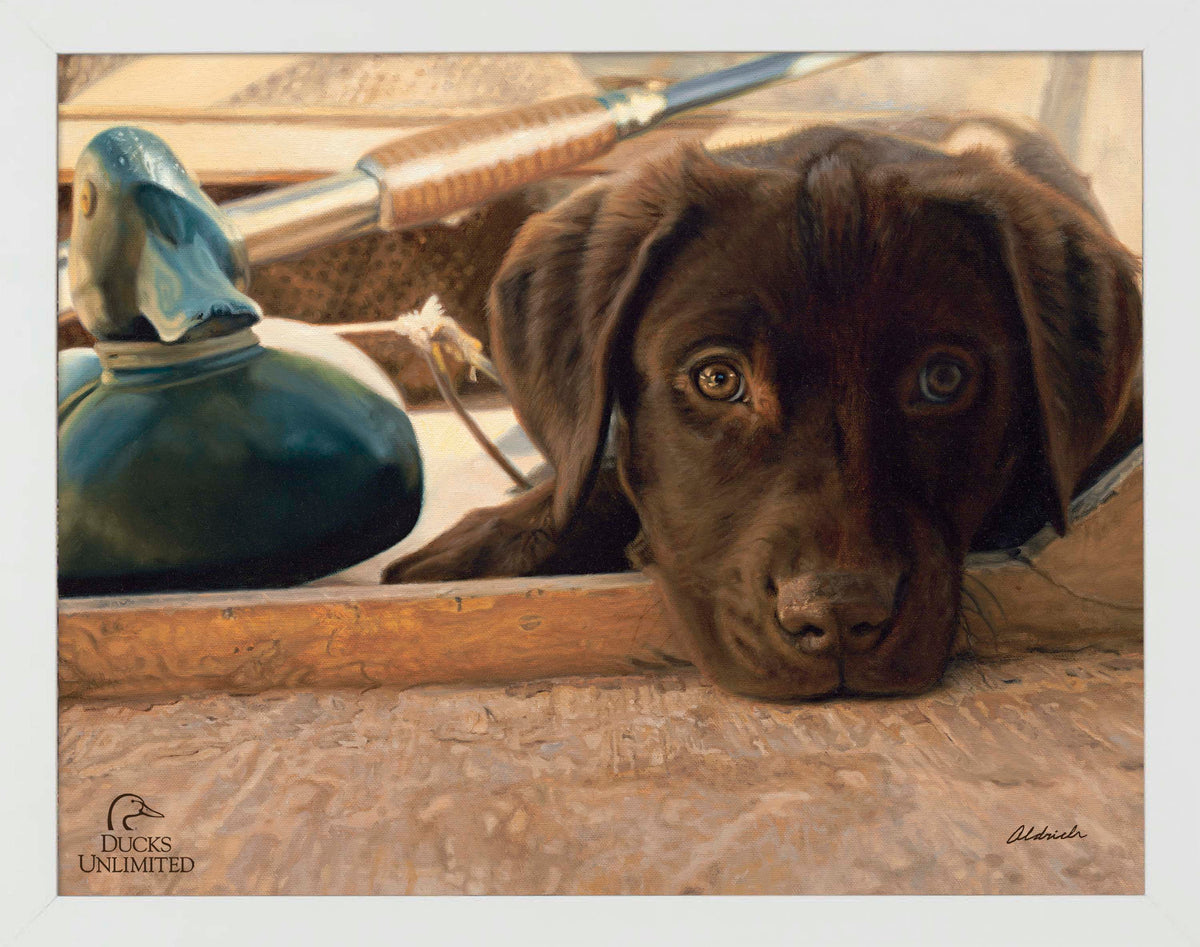 Three Hour Cruise - Art Prints - Official Ducks Unlimited Art