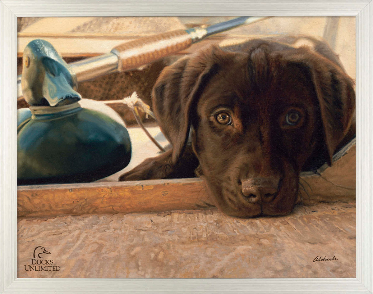 Three Hour Cruise - Art Prints - Official Ducks Unlimited Art