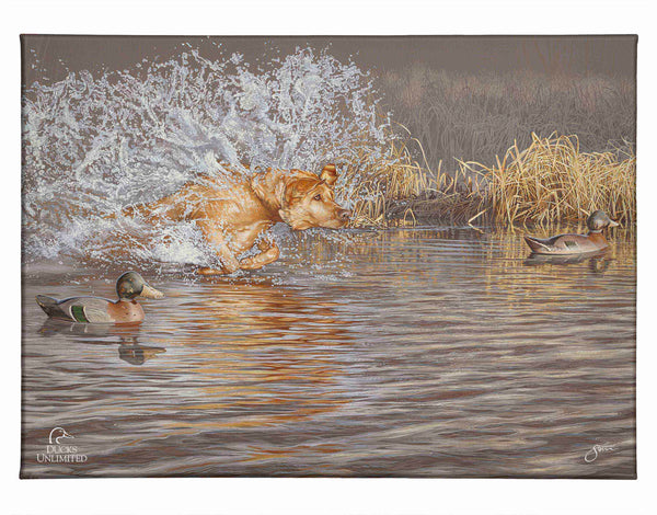 Time to Shine Gallery Wrapped Canvas - Official Ducks Unlimited Art