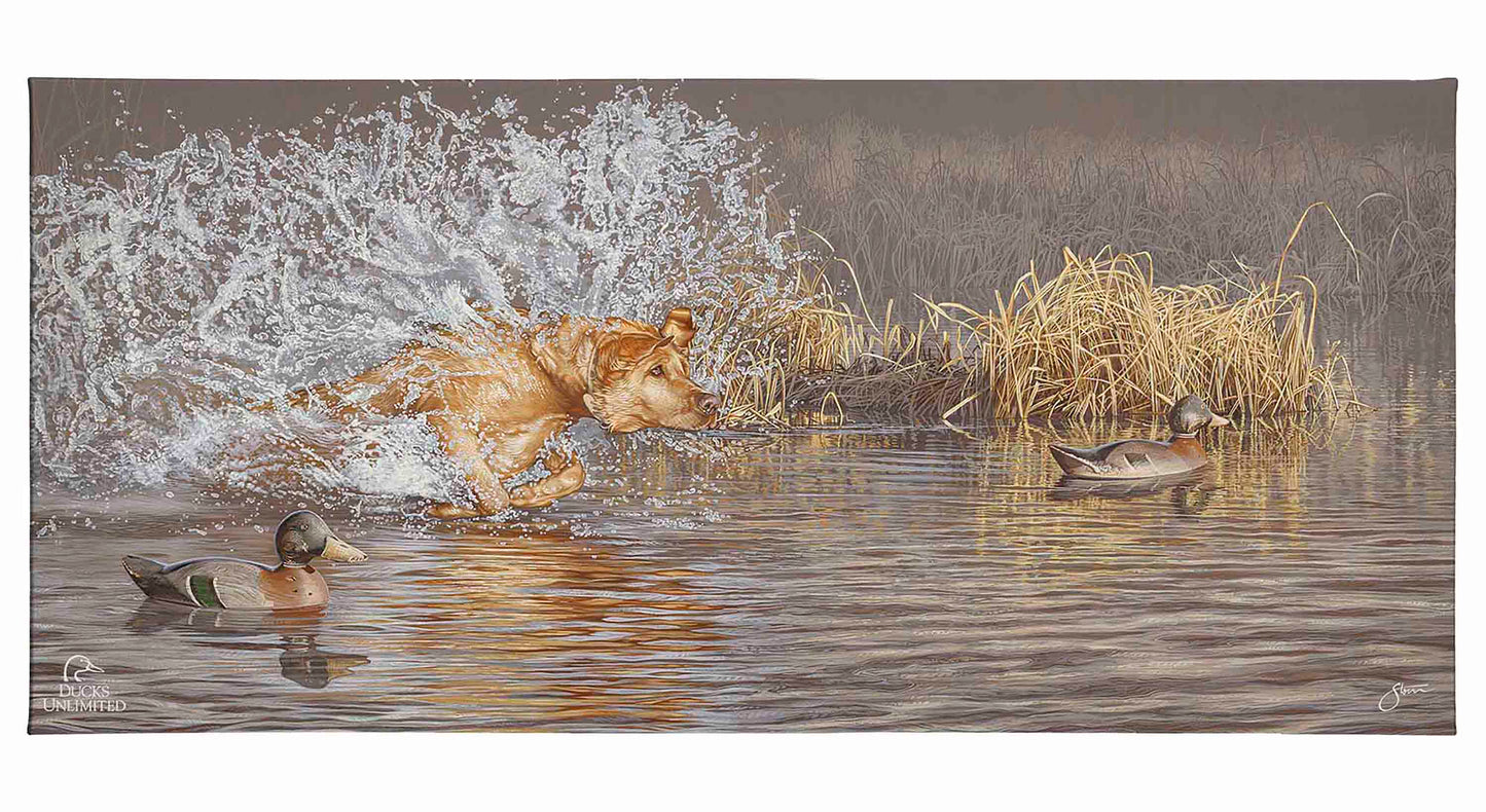 Time to Shine Gallery Wrapped Canvas - Official Ducks Unlimited Art
