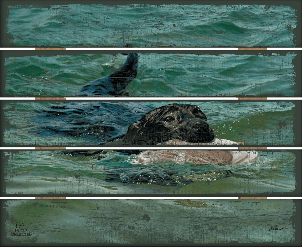 Training Day - Black Lab - 18" x 22" Pallet Wall Art - Official Ducks Unlimited Art