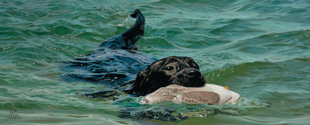 Training Day - Black Lab - 12" x 30" Wood Sign - Official Ducks Unlimited Art