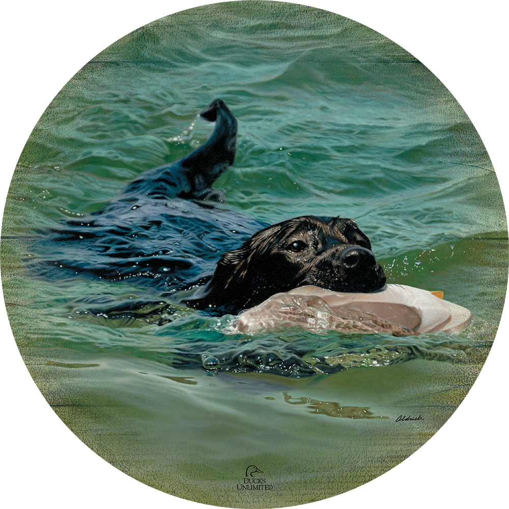 Training Day - Black Lab - 21" Round Wood Sign - Official Ducks Unlimited Art