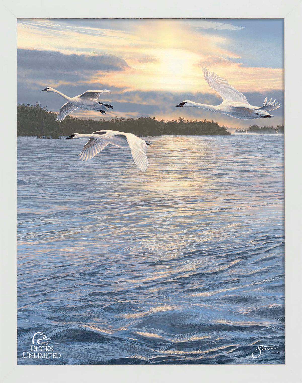 Trumpts at Sunset - Art Prints - Official Ducks Unlimited Art