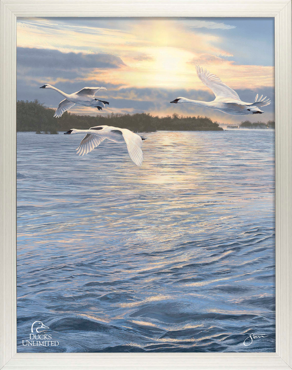 Trumpts at Sunset - Art Prints - Official Ducks Unlimited Art