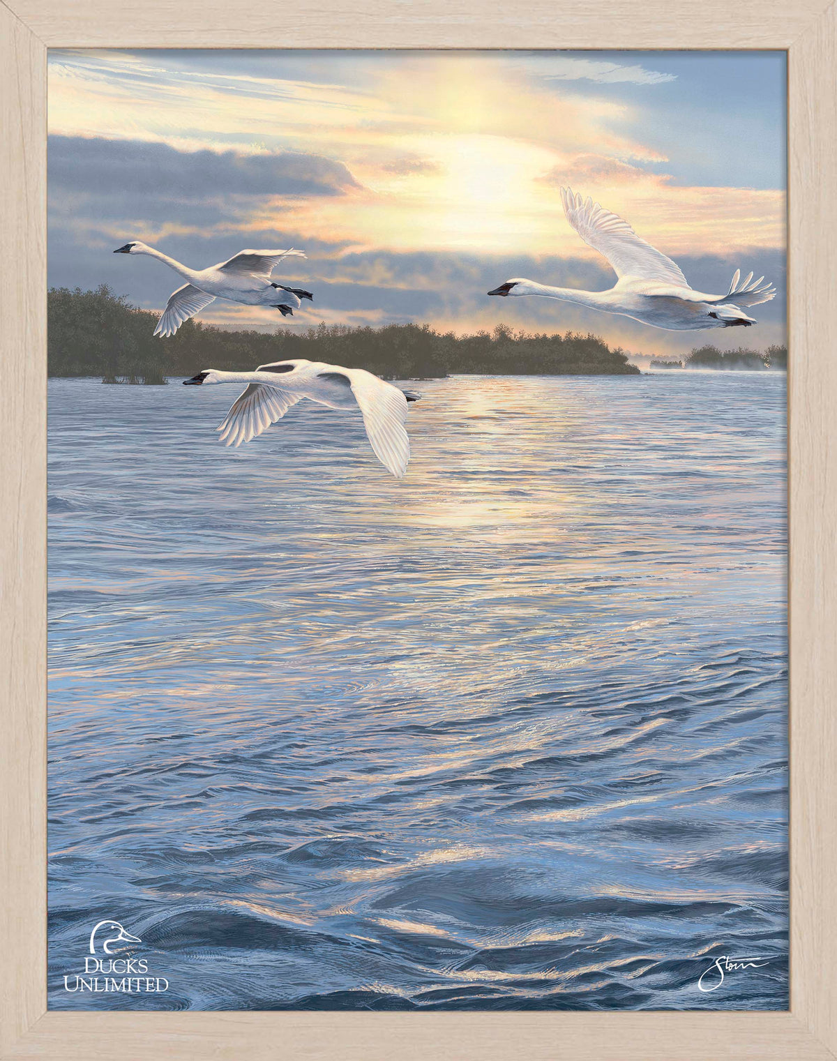 Trumpts at Sunset - Art Prints - Official Ducks Unlimited Art