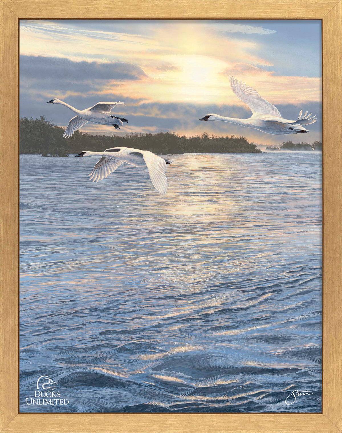 Trumpts at Sunset - Art Prints - Official Ducks Unlimited Art