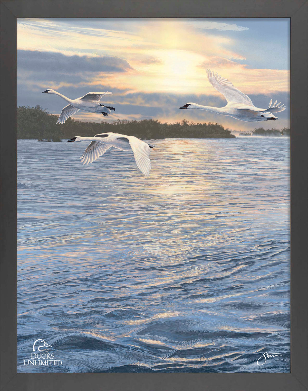 Trumpts at Sunset - Art Prints - Official Ducks Unlimited Art