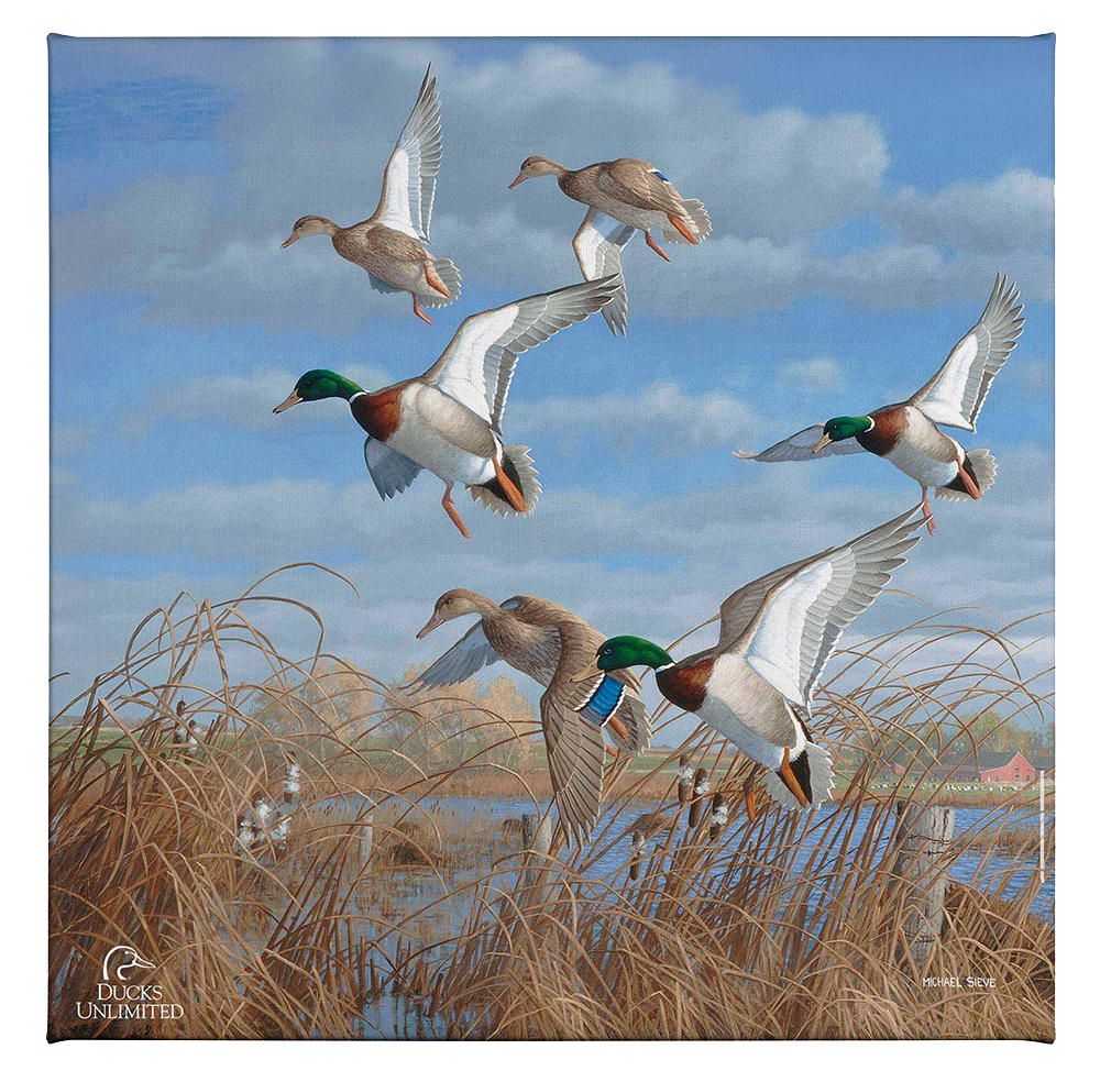 Vic's Pond - Gallery Wrapped Canvas - Official Ducks Unlimited Art