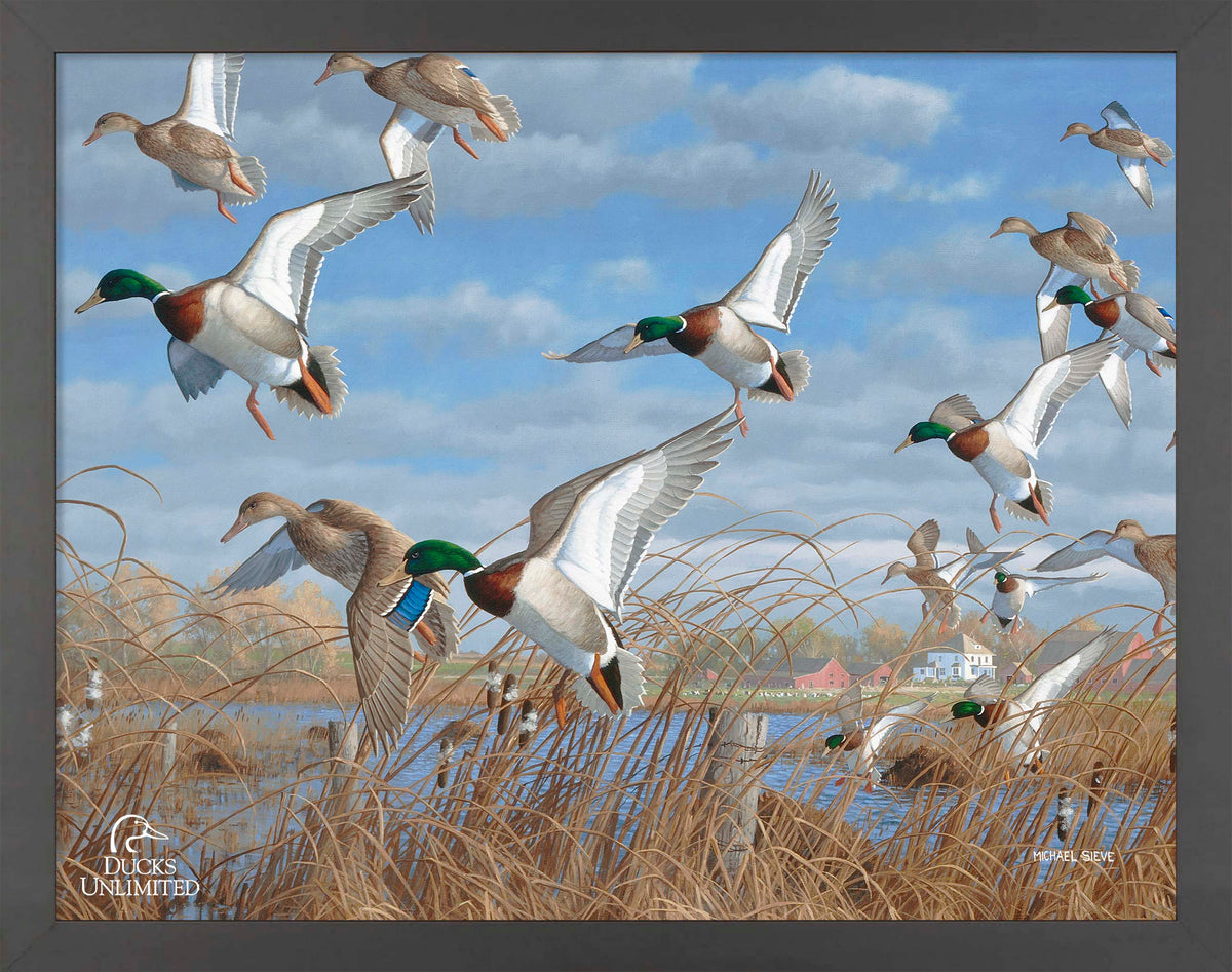 Vic's Pond - Art Prints - Official Ducks Unlimited Art