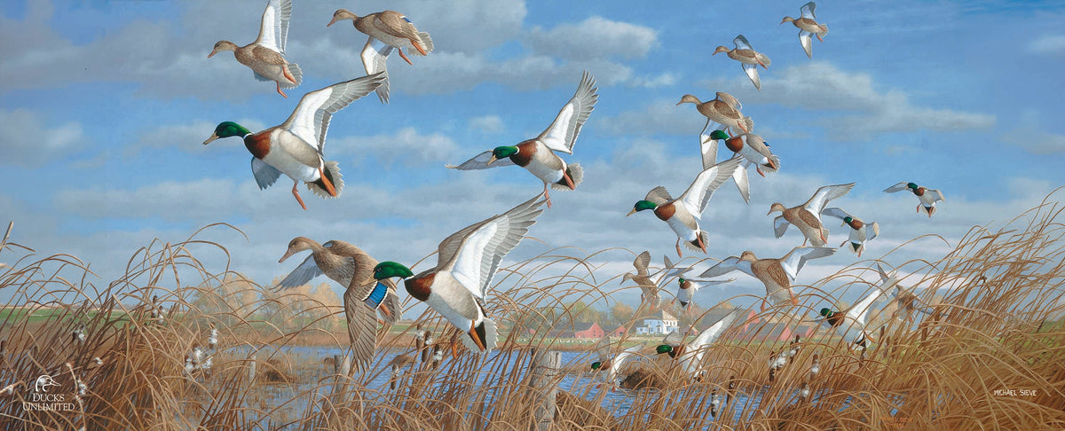 Vic's Pond - 12" x 30" Wood Sign - Official Ducks Unlimited Art