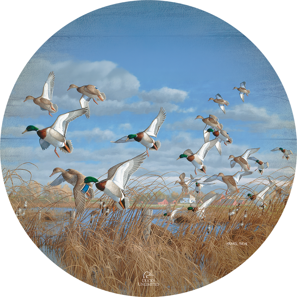 Vic's Pond - 21" Round Wood Sign - Official Ducks Unlimited Art