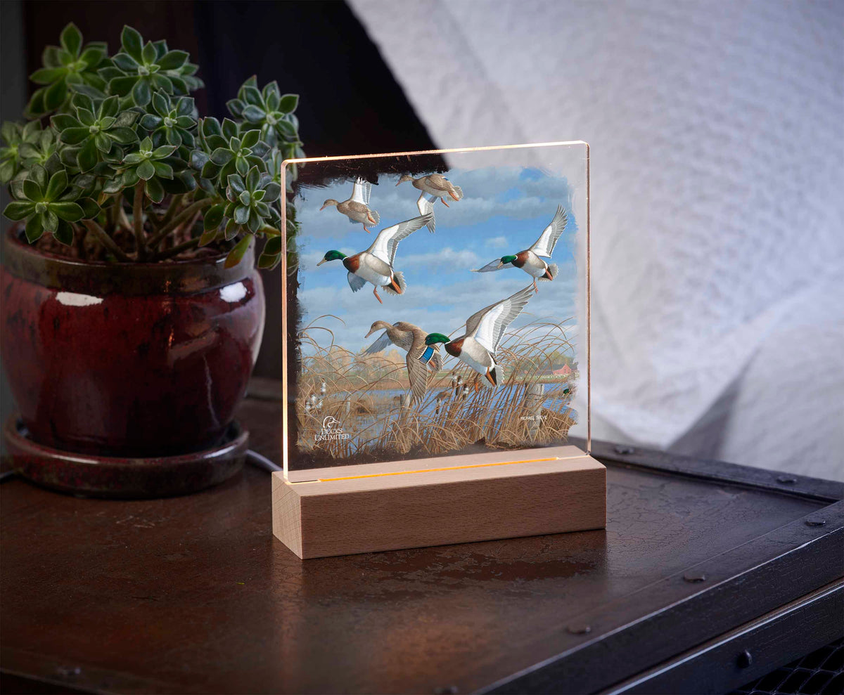 Vic's Pond - 6.37" x 6" Acrylic Night Light - Official Ducks Unlimited Art