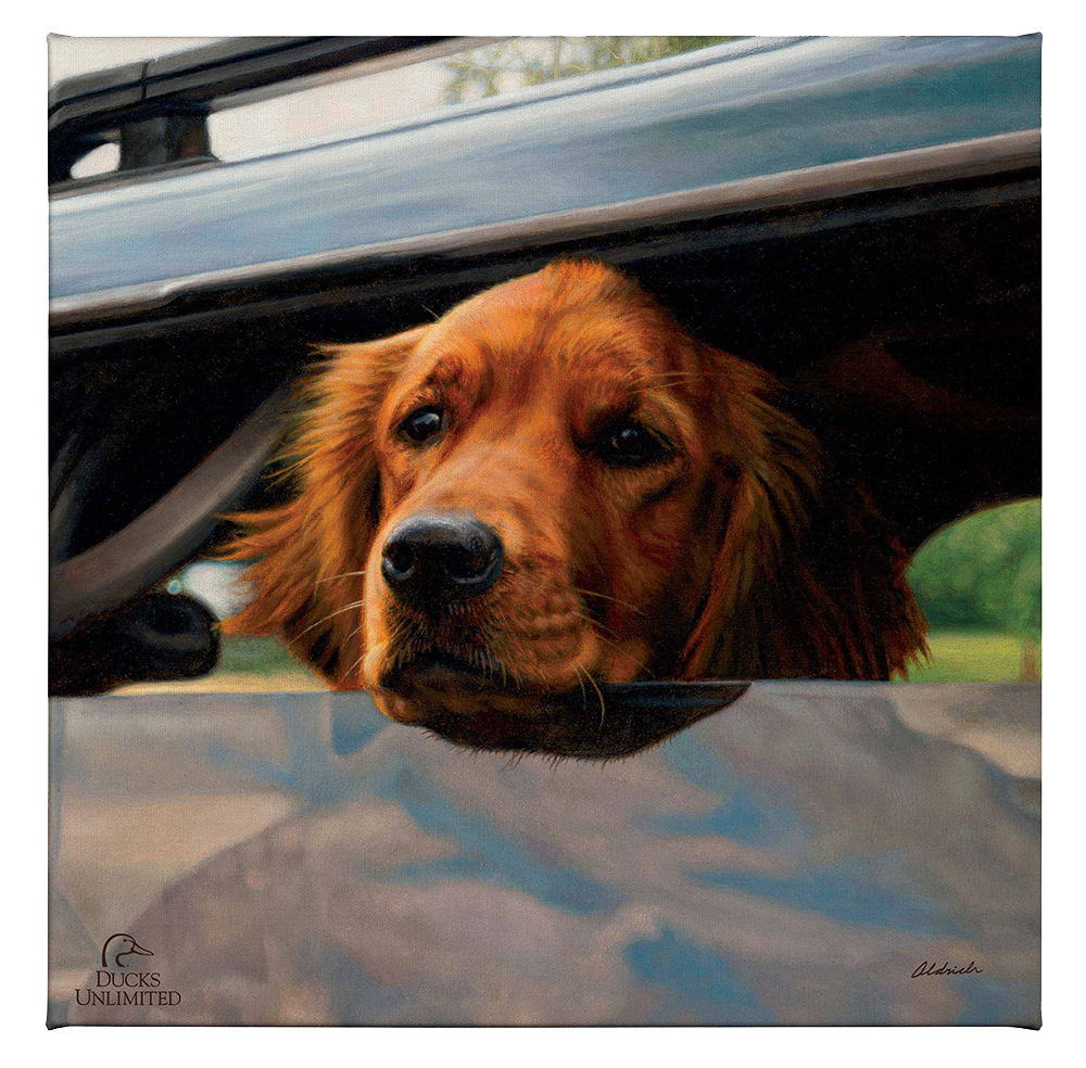 What's the Hold Up - Gallery Wrapped Canvas - Official Ducks Unlimited Art