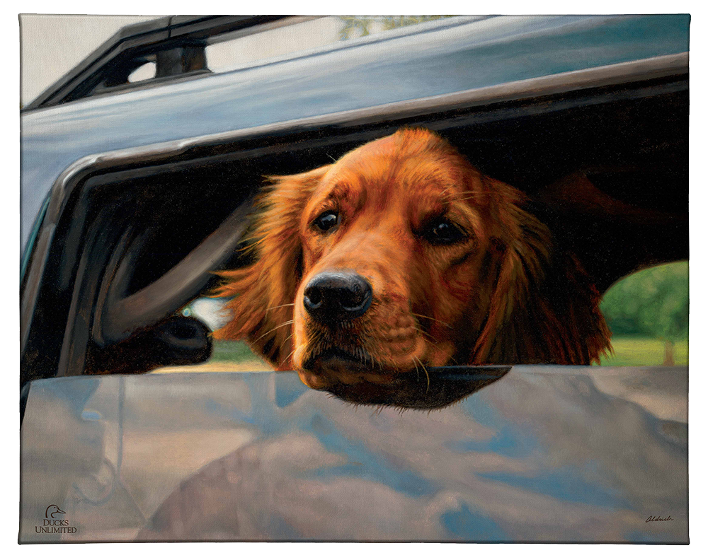 What's the Hold Up - Gallery Wrapped Canvas - Official Ducks Unlimited Art