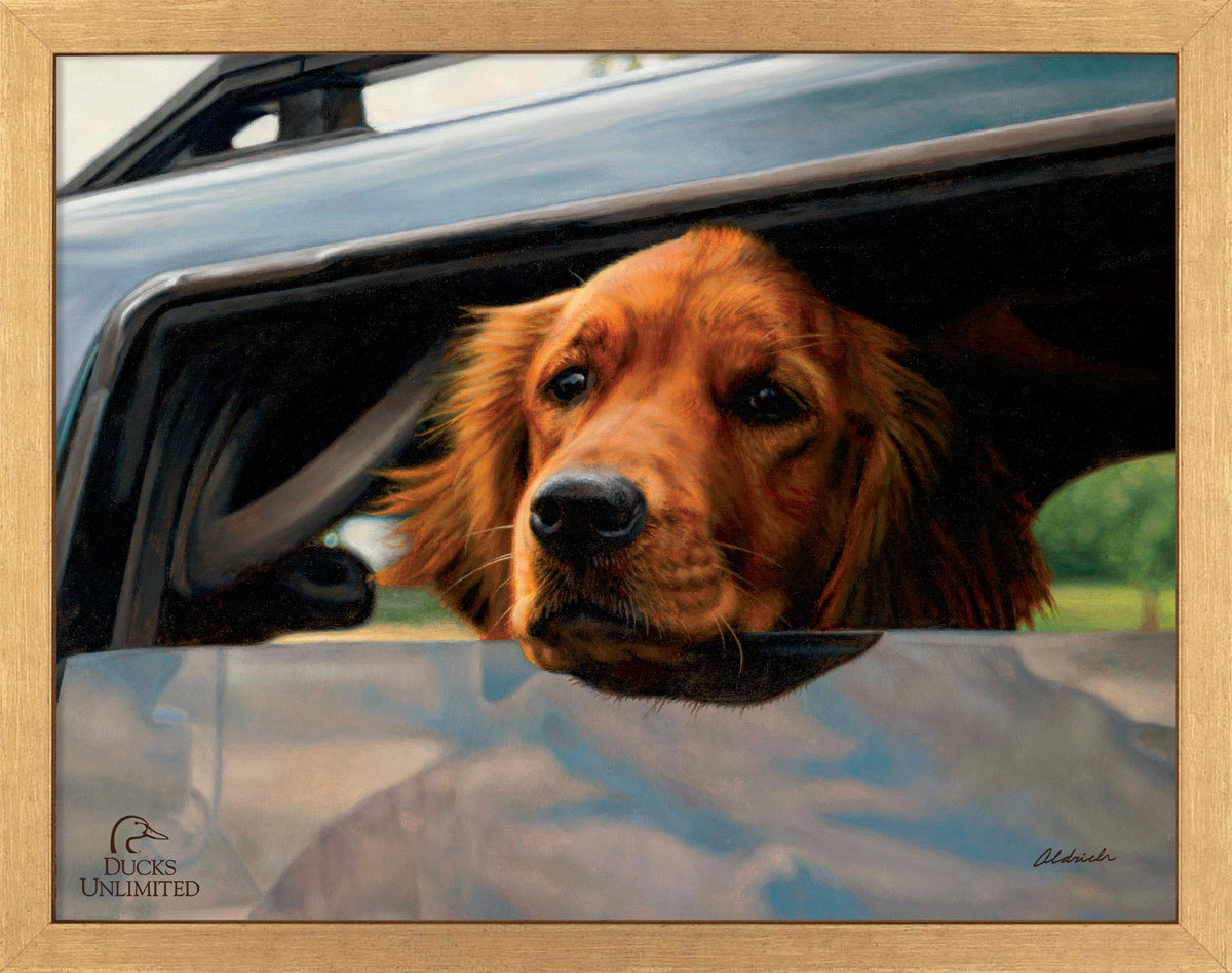 What's the Hold Up - Art Prints - Official Ducks Unlimited Art