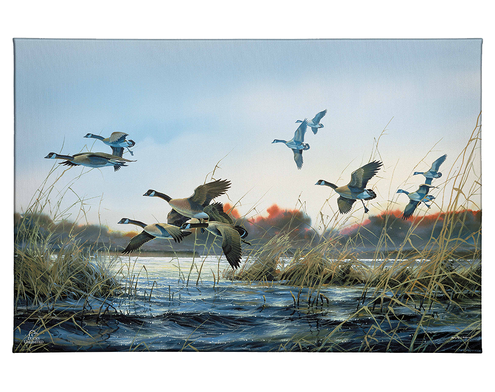 Wind Walkers - Gallery Wrapped Canvas - Official Ducks Unlimited Art
