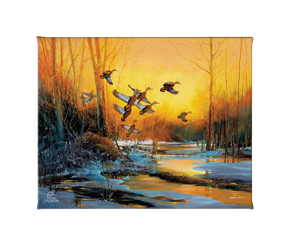 Winter Blacks - Gallery Wrapped Canvas - Official Ducks Unlimited Art