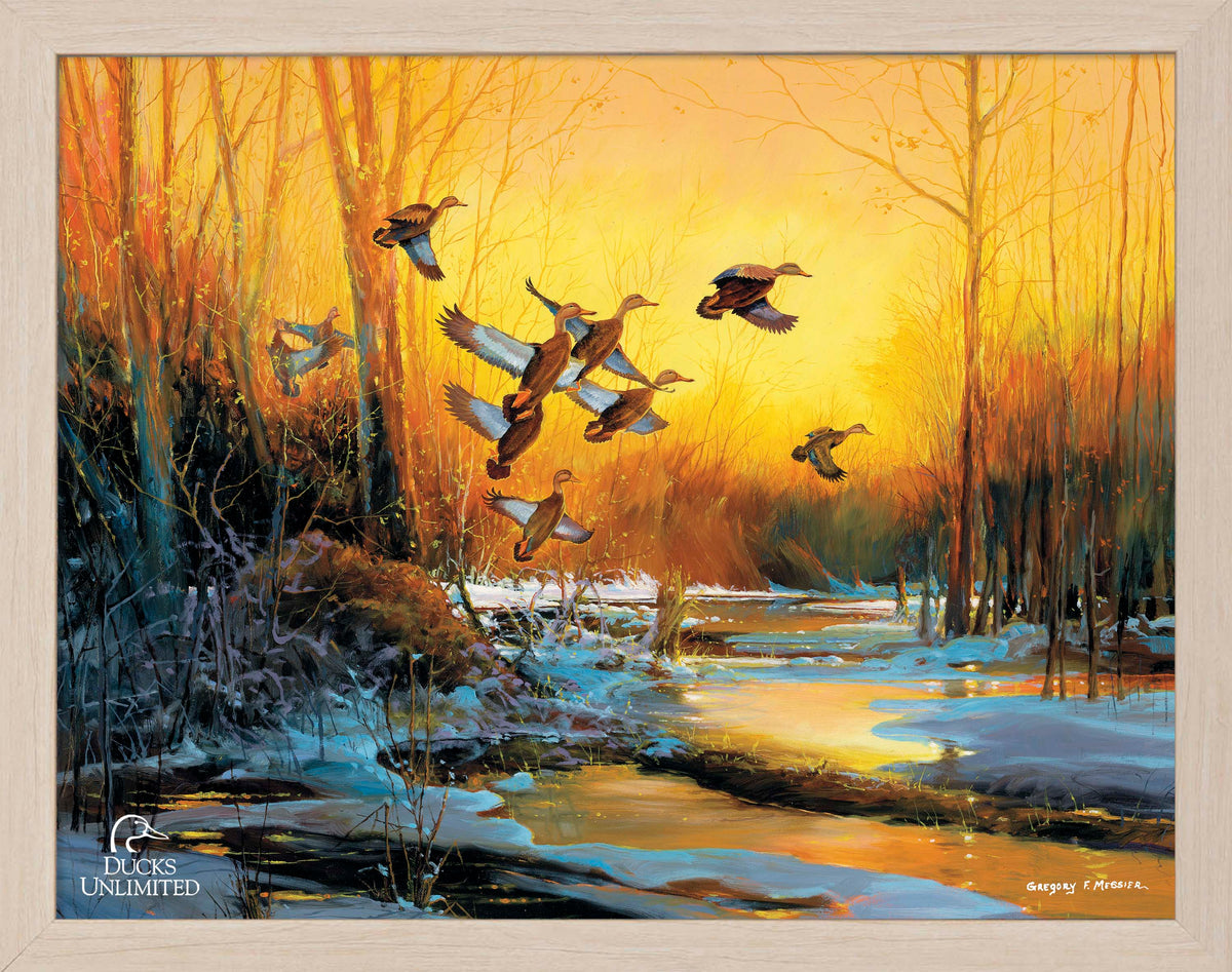Winter Blacks - Art Prints - Official Ducks Unlimited Art