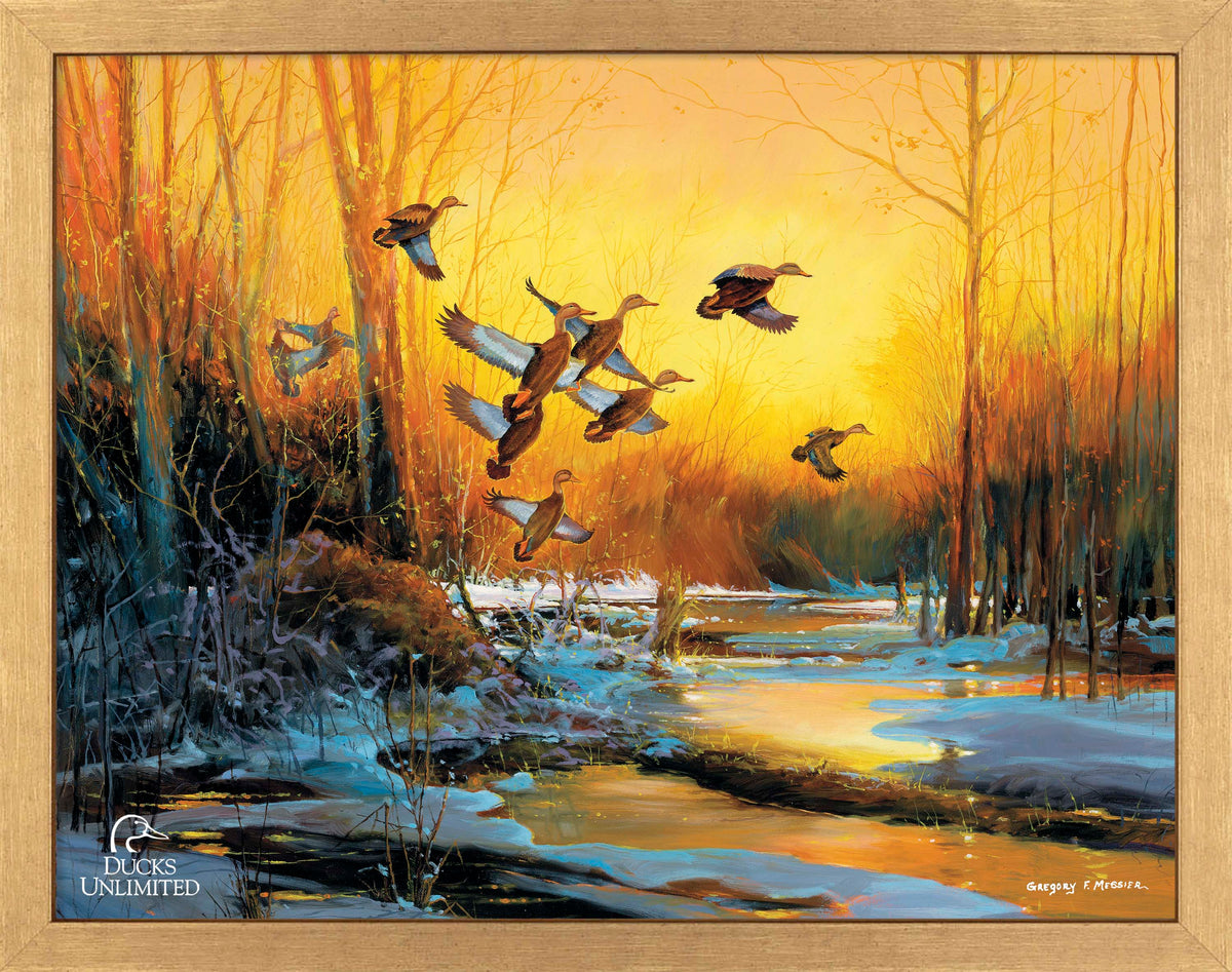Winter Blacks - Art Prints - Official Ducks Unlimited Art