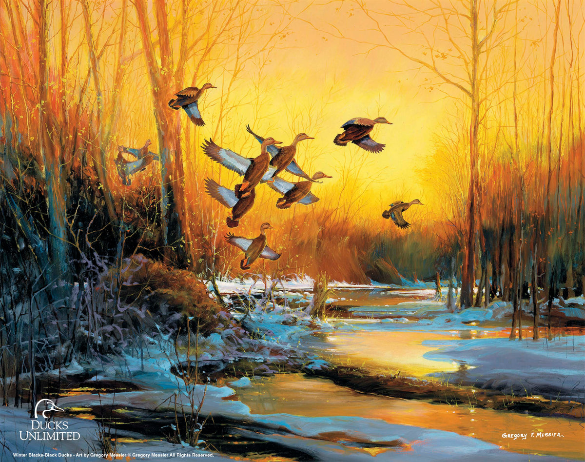Winter Blacks - Art Prints - Official Ducks Unlimited Art