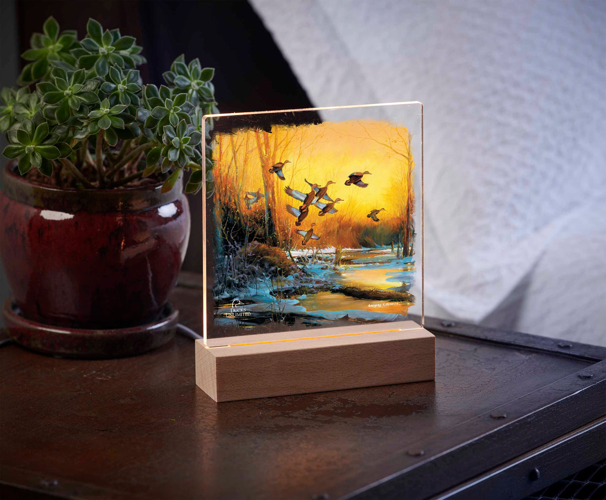 Winter Blacks - 6.37" x 6" Acrylic Night Light - Official Ducks Unlimited Art