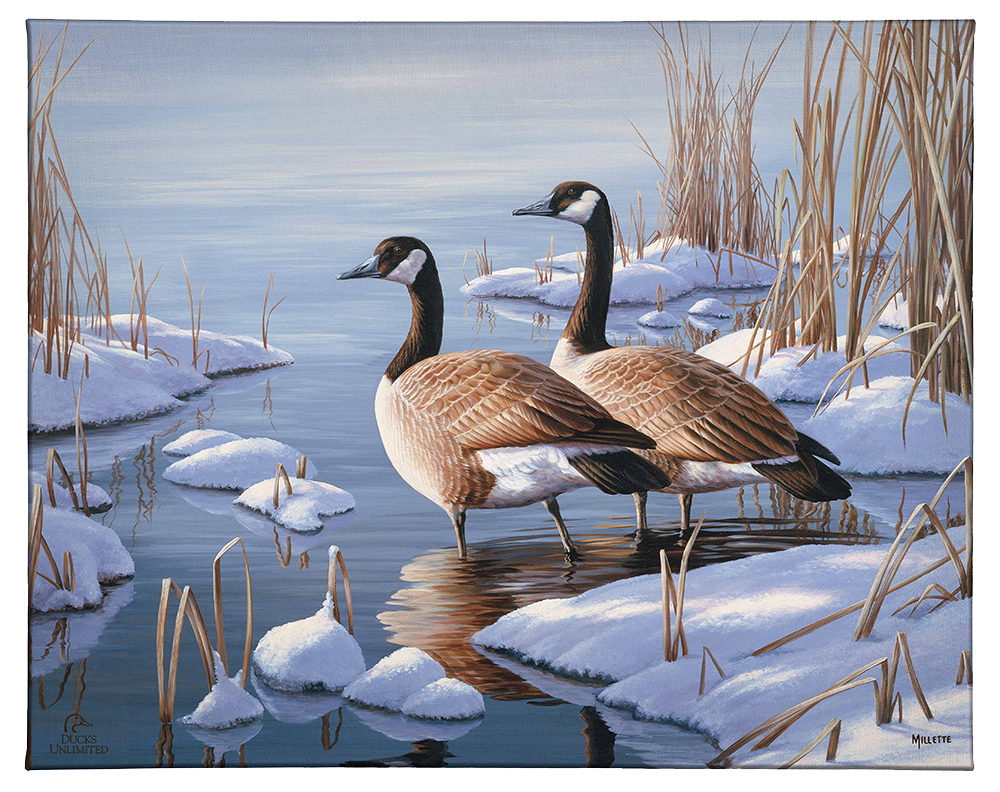 Winter Dawn - Gallery Wrapped Canvas - Official Ducks Unlimited Art