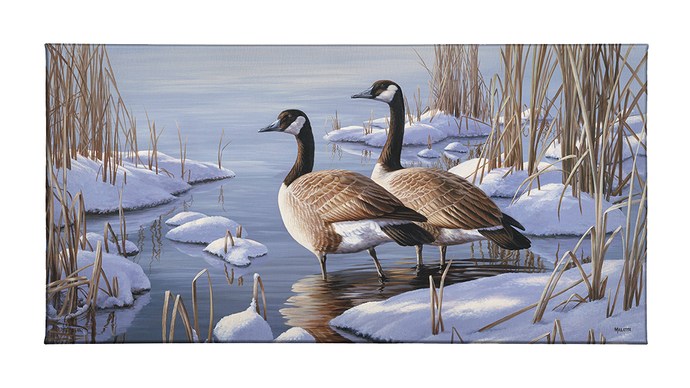 Winter Dawn - Gallery Wrapped Canvas - Official Ducks Unlimited Art