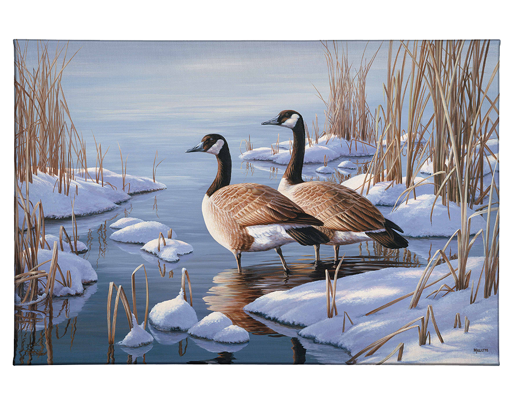 Winter Dawn - Gallery Wrapped Canvas - Official Ducks Unlimited Art