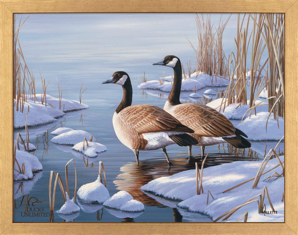 Winter Dawn - Art Prints - Official Ducks Unlimited Art
