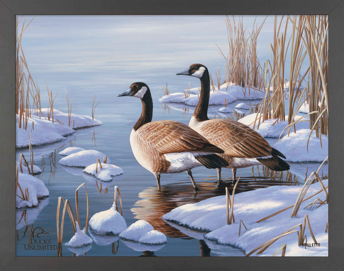 Winter Dawn - Art Prints - Official Ducks Unlimited Art