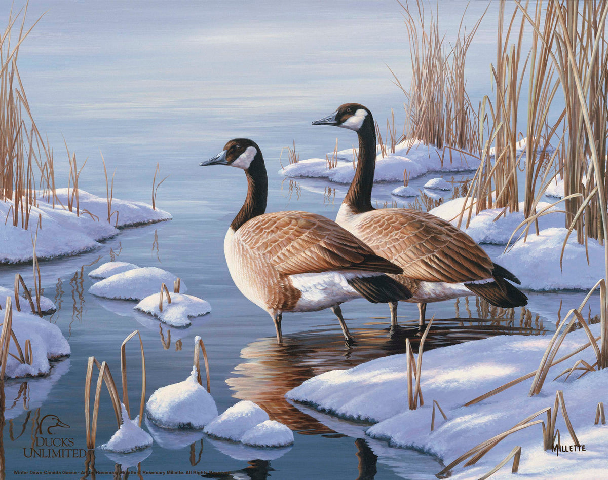 Winter Dawn - Art Prints - Official Ducks Unlimited Art