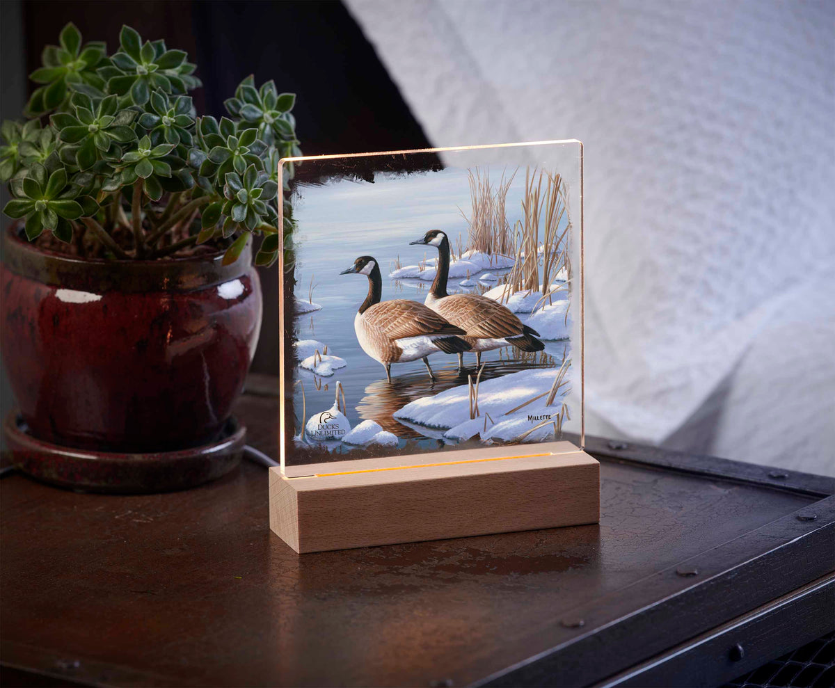 Winter Dawn - 6.37" x 6" Acrylic Night Light - Official Ducks Unlimited Art