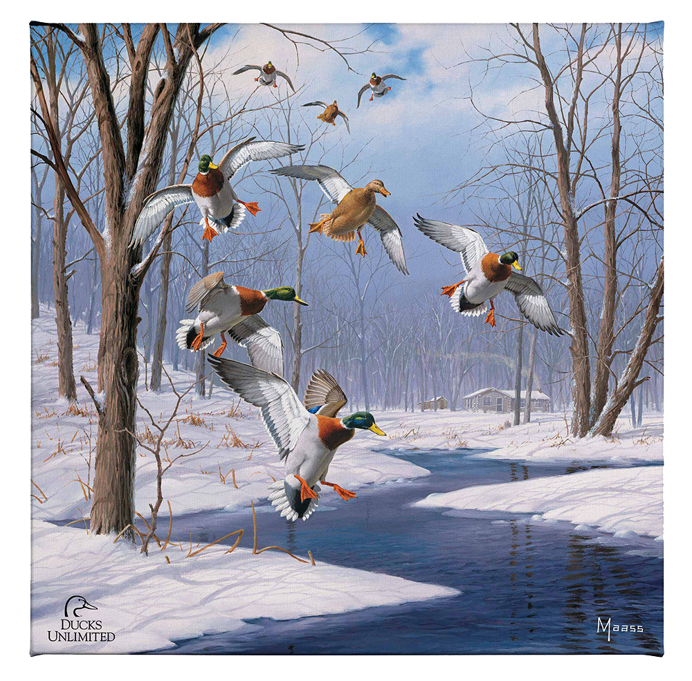 Winter Wonder- Mallards - Gallery Wrapped Canvas - Official Ducks Unlimited Art