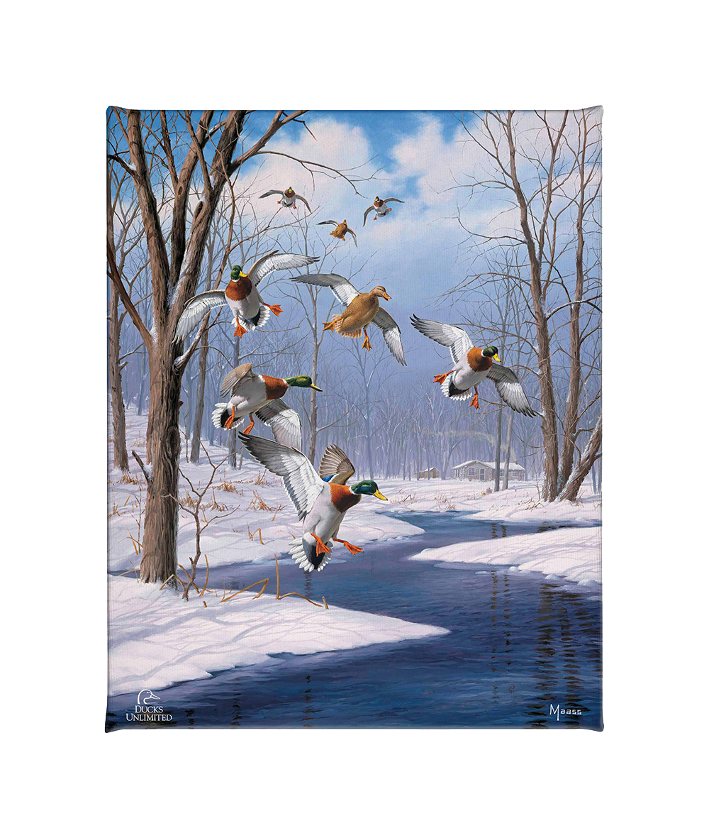 Winter Wonder- Mallards - Gallery Wrapped Canvas - Official Ducks Unlimited Art