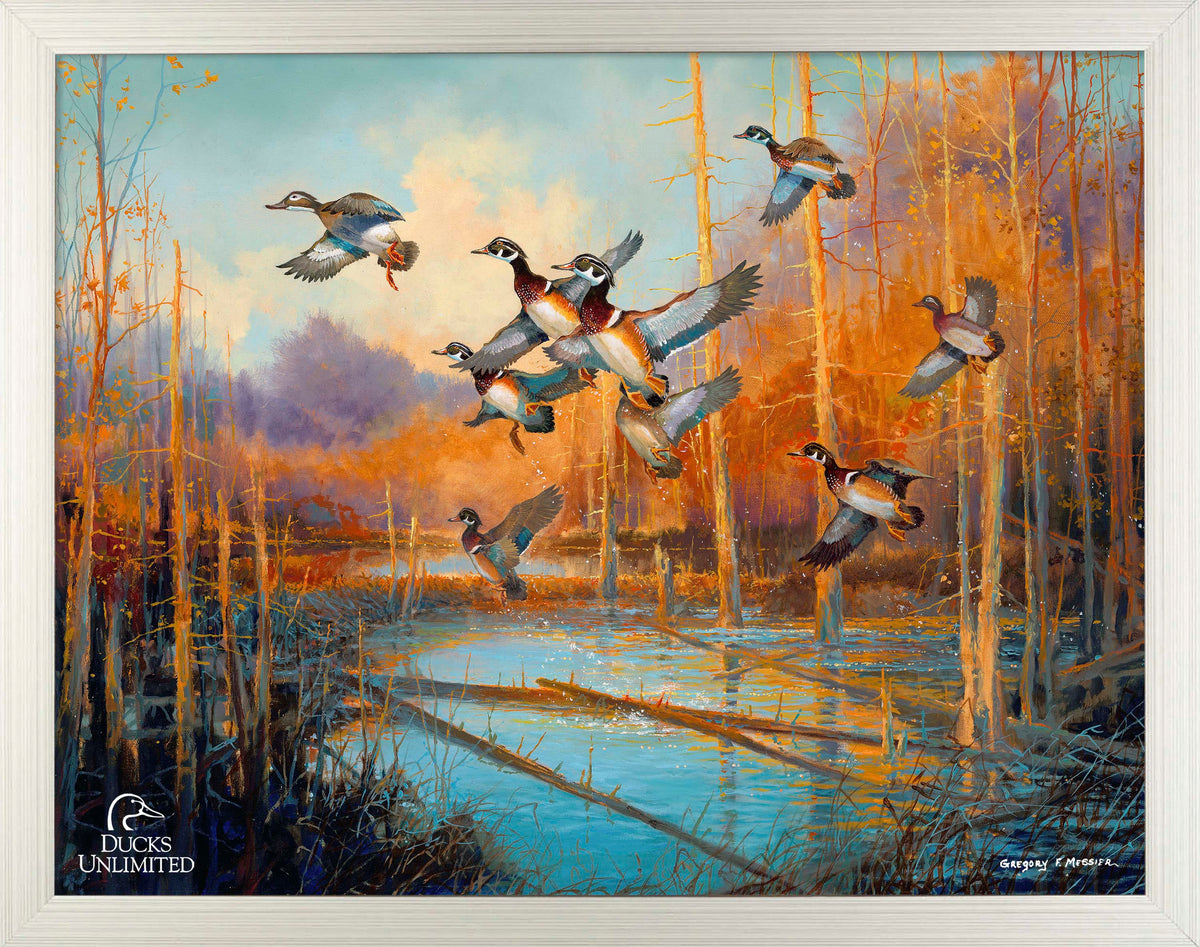 Wood Ducks - Art Prints - Official Ducks Unlimited Art